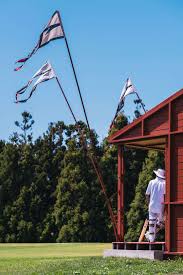 Image result for Wells Cricket Club