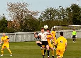 Image result for Beecholme Belles Banstead FC