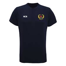 Image result for Whitchurch-Heath Cricket Club