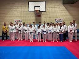 Image result for Stoke UTA Olympic Taekwondo