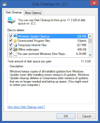 Image result for windows disk usage