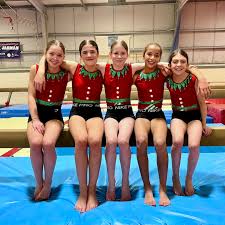 Image result for Huntingdon Gymnastics Club