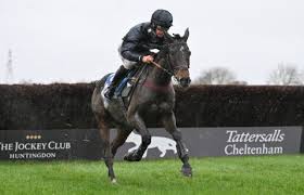 Image result for Huntingdon and District Riding Club