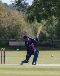 Image result for Hatherleigh Cricket Club