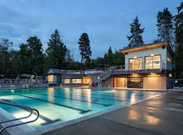 Image result for Rykneld Sharley Park Swimming Club