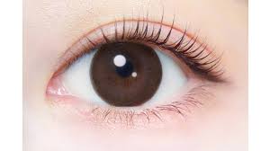 「エバーカラーワンデーナチュラル」の画像検索結果