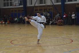 Image result for Aylesbury Vale Seido Karate