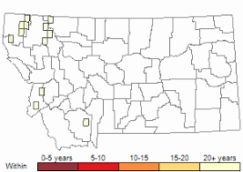 Attēlu rezultāti vaicājumam “Dicranella crispa”