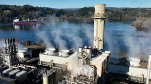 Image result for Portway Plodders