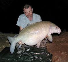 Image result for Ictiobus bubalus