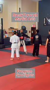 Image result for Breakthrough Tae Kwon Do