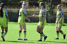 Image result for Sherborne Town Football Club