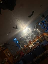 Image result for The Stone Water Sports Club, St Lawrence Bay