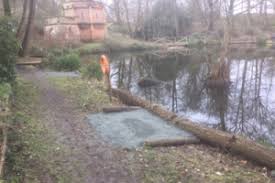 Image result for Cobham Court Angling Club