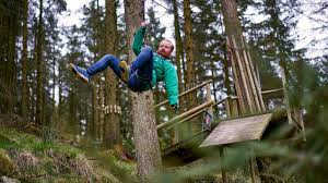 Image result for Go Ape! Grizedale