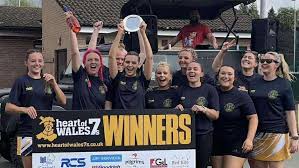 Image result for Monmouth Netball Club