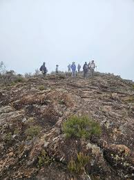 Image result for Newbury Mountain Club