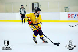 Image result for Dundee Ducks inline roller hockey club