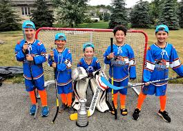 Image result for Ealing Eagles Ball Hockey Club