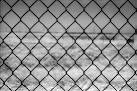 Fence IR: An infrared look at - via Daymix