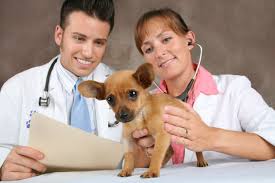VETERINARIAS