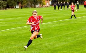 Image result for Essex Blades