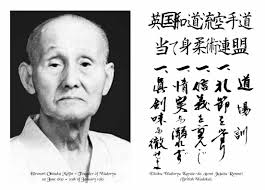 Image result for Independent Wadoryu Karate Federation