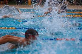 Image result for Hastings Seagulls Swimming Club