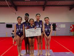 Image result for Cardiff Olympic Gymnastics Club