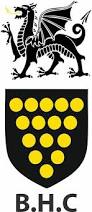 Image result for Bodmin Rugby Football Club