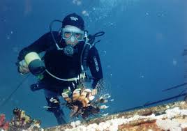 Image result for Meadurst Sub-Aqua Club