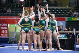Image result for Focus Institute of Gymnastics