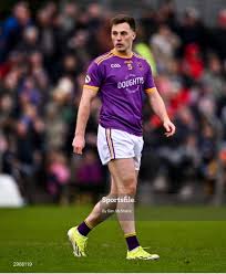 Image result for Wolfe Tones Gaelic Athletic Club