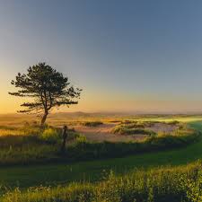 Image result for Prince`s Golf Club