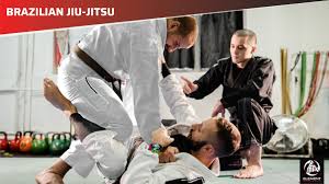 Image result for Full Element Mixed Martial Arts