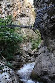 Image result for PONT DE SINGE