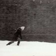 Image result for Lilac Chaser