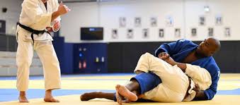 Image result for Team Renegade BJJ & Judo