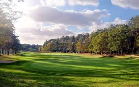 Image result for Crowlands Heath Golf Club