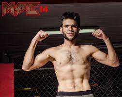 Image result for Wolverine MMA