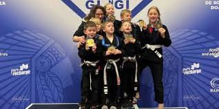 Image result for Winchester Aiuchi Jiu Jitsu