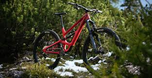 Attēlu rezultāti vaicājumam “Capra”