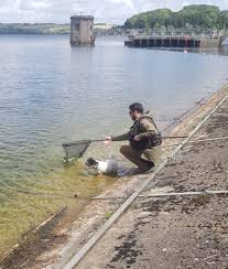 Image result for Segdoune Flyfishers` Angling Club