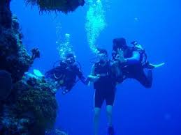 Image result for Great Western Divers