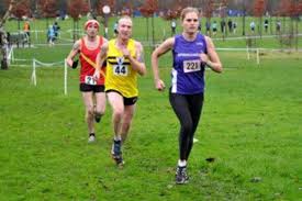 Image result for Annadale Striders Ac