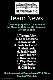 Image result for Peasedown-St-John Cc