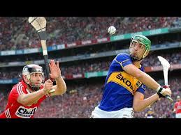 Image result for hurling