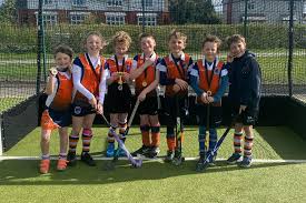 Image result for Swansea Bay Hockey Club