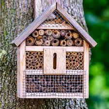 Image result for ladybug house