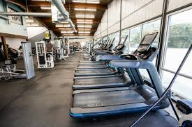 Image result for Arrow Vale Gym Club